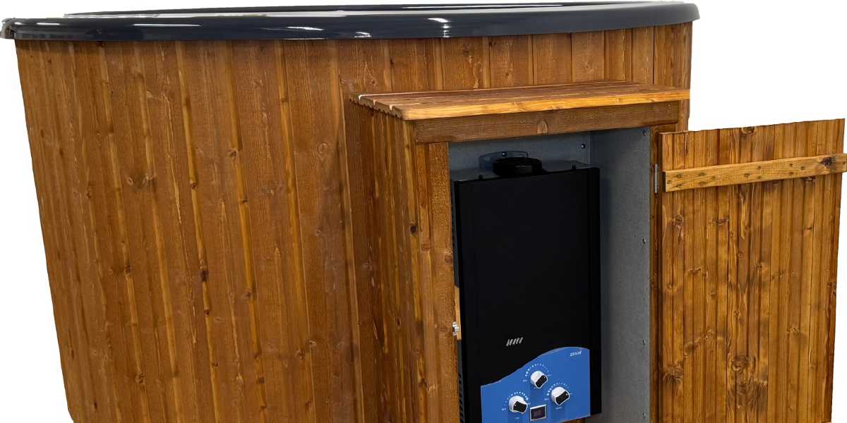 Gas water heater
